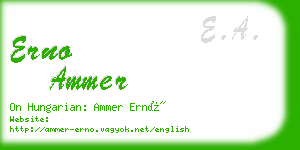 erno ammer business card